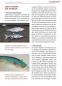 Preview: Hardbaits - Erfolgreich angeln mit Wobblern & Co.