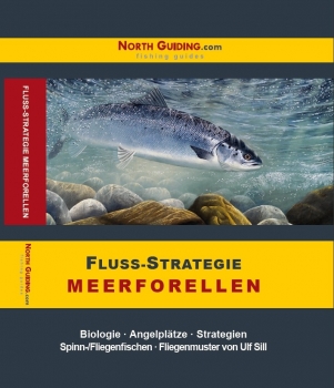 Fluss-Strategie Meerforellen