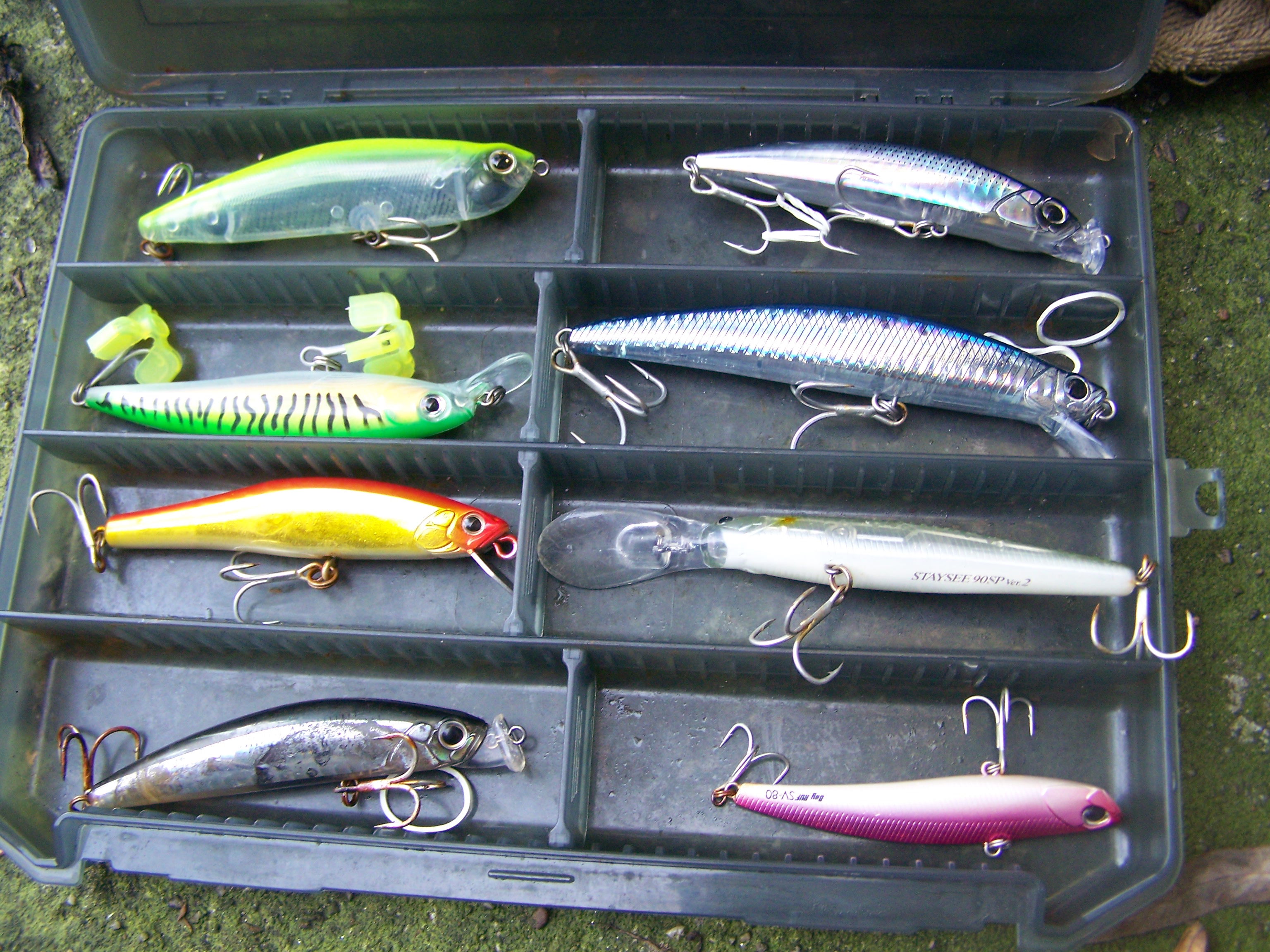 Streetfishing auf Wolfsbarsch