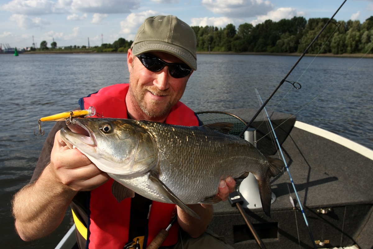 hundefutter halbfeucht Halbfeuchtes Trockenfutter Fjord Salmon – Frischer Lachs main image 1