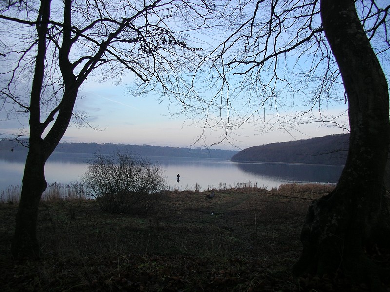 Randers Fjord : Kyst Og Fjordcentret Oplevelser Ved Randers Fjord _ We did not find results for: