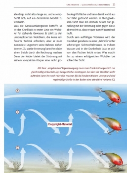 Hardbaits - Erfolgreich angeln mit Wobblern & Co.